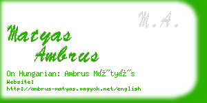 matyas ambrus business card